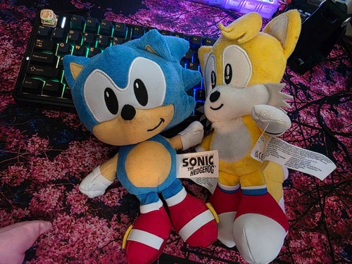 Sonic the hedgehog - sonic, tails