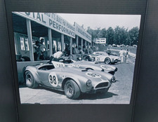 Vintage Ford Shelby Cobras at