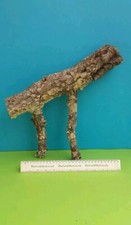 CORK BARK BRANCH 39CM LEOPARD
