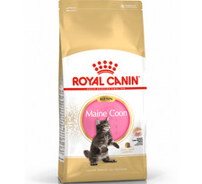 ROYAL CANIN KITTEN MAINE COON BREED 400g, 2kg, 4kg or 10kg : Junior Cat Food rc 