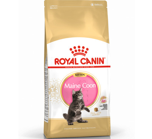 Royal canin kitten maine - kitten,