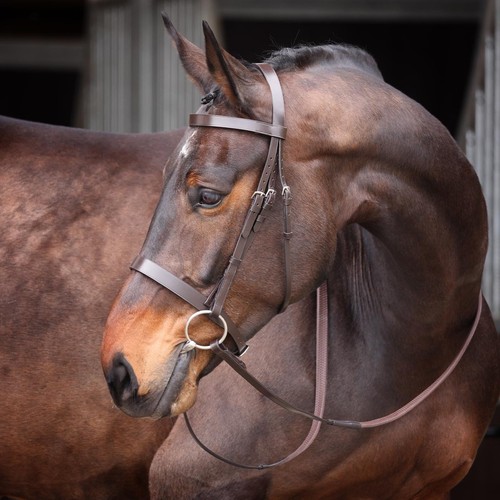 Shires velociti gara - shires,