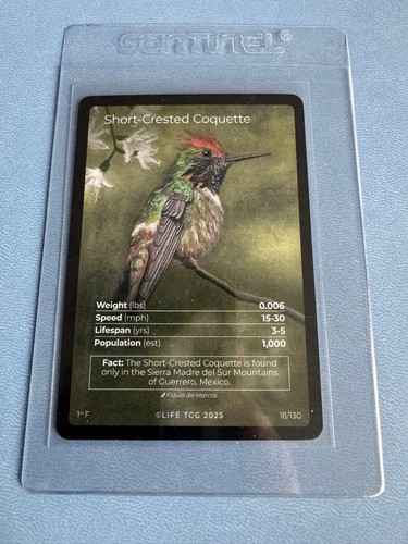 Life tcg birds - (full, arts)
