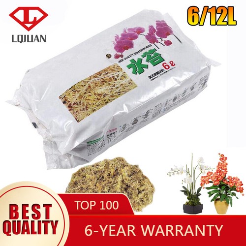 12l natural dried plant - natural, moss