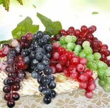 Artificial Fruit Grape Food Lifelike Fake Fruits Plant Home Office Party Decor