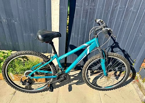 Apollo entice mountain bike - entice,