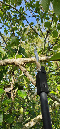 Bushwhacker pole saw - pole,