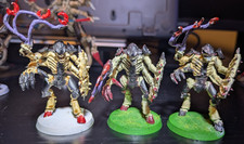 40k Tyranid Tyrant Guard Squad