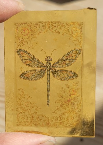 Stained glass dragonfly - stained,
