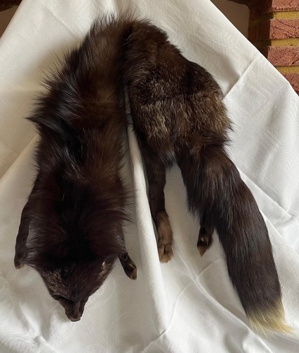 Vintage fox fur - vintage, stole,