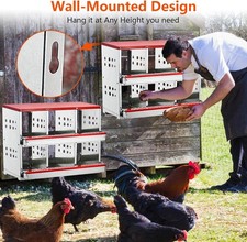 6-Compartment Chicken Nest Box