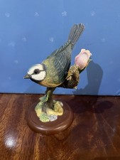 Border Fine Arts Birds Blue