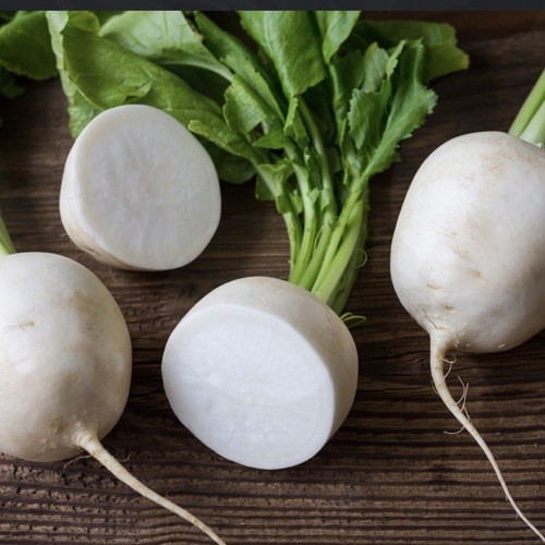 Turnip snowball multisown - turnip,
