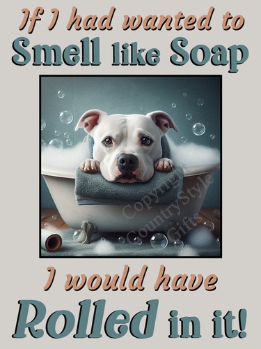Staffy white staffordshire - staffy,