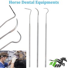 15" Equine Horse Dental Mouth