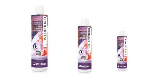 Reeflowers cichlid trace - cichlid,