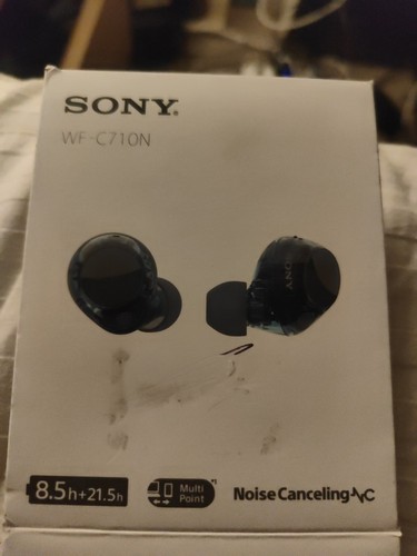 Sony noise cancelling true - sony,