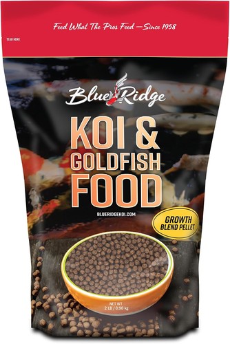 Blue ridge koi fish - ridge,
