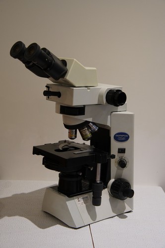 Olympus cx41 microscope - olympus,