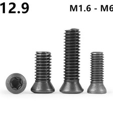 M2 M2.5 M3 M3.5 M4 Black Torx