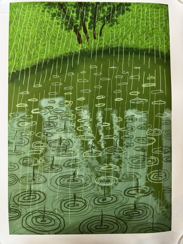David hockney arrival - david,