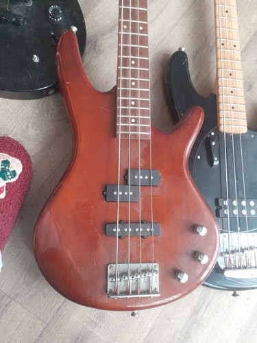 String electric bass guitar - bass,