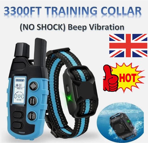 1000m electric pet - pet, dog
