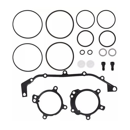 Dual vanos ring - vanos, seal