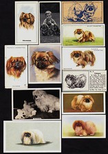 16 Different Vintage PEKINGESE