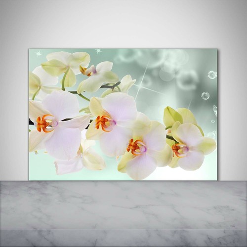 Tulup kitchen glass - tulup,