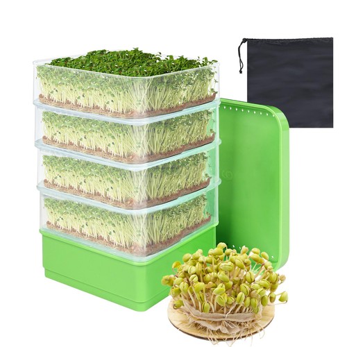 Seed sprouter dish - seed, kit
