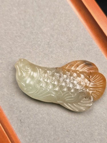 Imperial arowana 59mm natural - arowana:,