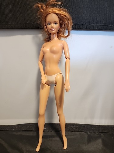 Barbie happy family pregnant - barbie,