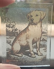 Stained glass Labrador dog permanently kiln fired glass piece