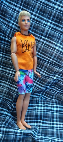 Ken doll i - ,