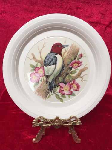 Hornsea concept decorative - hornsea,