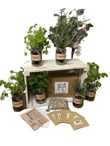 Set indoor herb - set, garden
