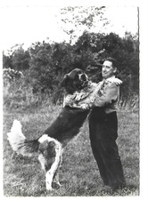 73 St Bernard Dog