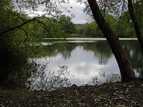 Photo 12x8 mellor mill - photo, pool