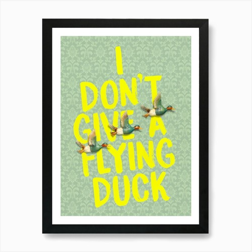 Don give flying duck art - duck,