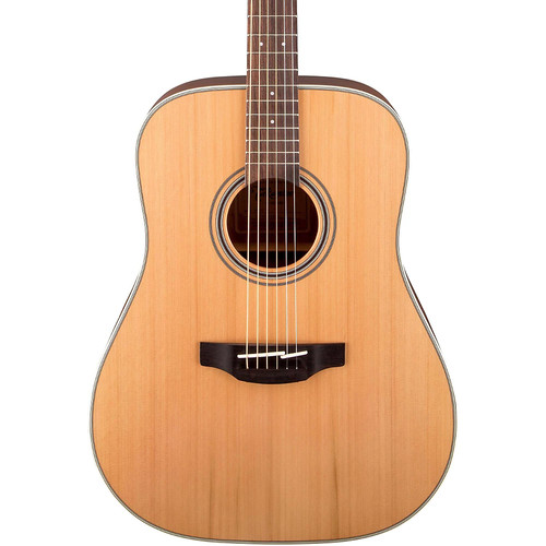 Takamine series gd20 - g,