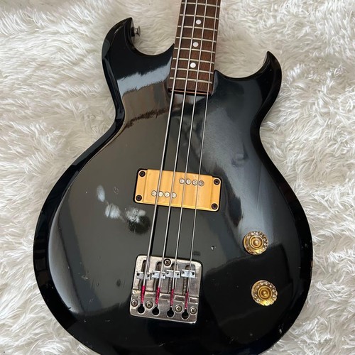 Aria pro cardinal - pro,
