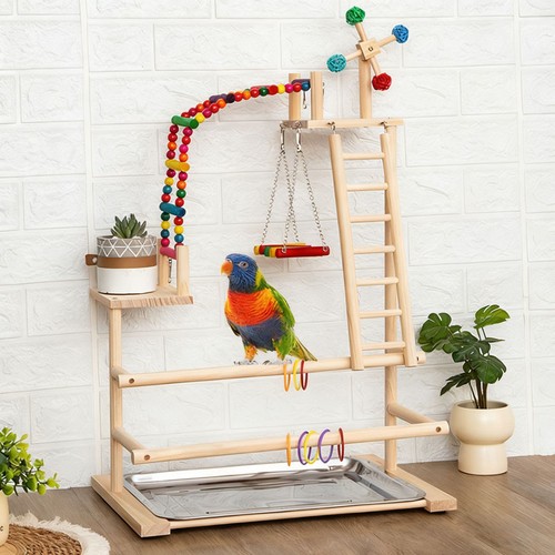Parrot playstand bird - parrot, play