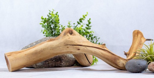 Large manzanita driftwood - 18",
