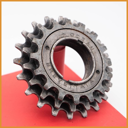 Ocean freewheel 3 speed - freewheel,