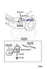 Toyota Starlet / Glanza