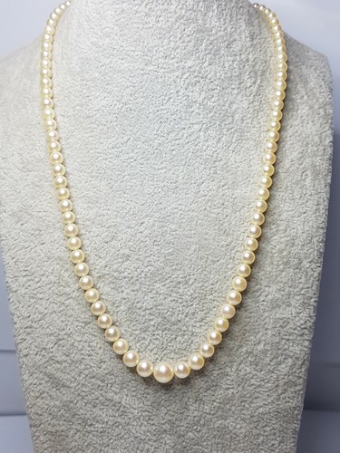 Mikimoto graduated japanese - graduated,