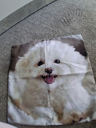 Bichon frise brand new - new, cushion