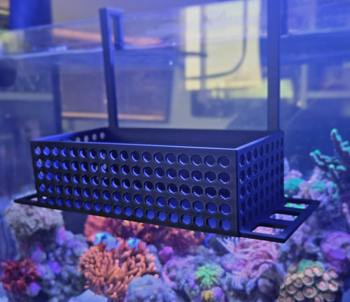 Marine mushroom basket with - marine,