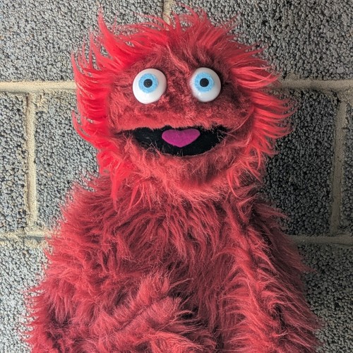 Professional puppet live hand - live,